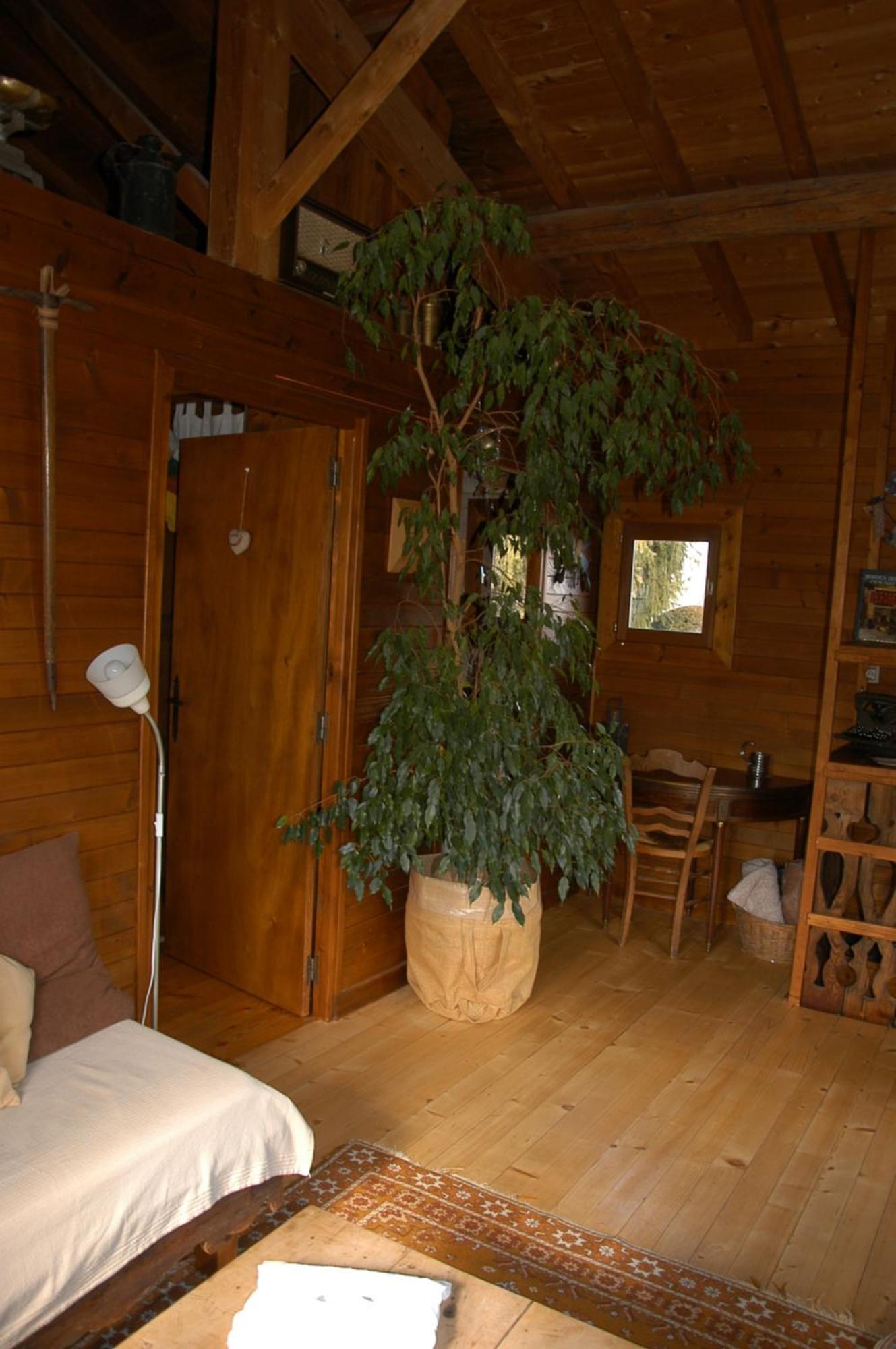 Chalet De La Fressine Alex Exterior photo